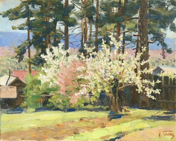 Пейзаж с цветущим деревом и соснами на холсте маслом